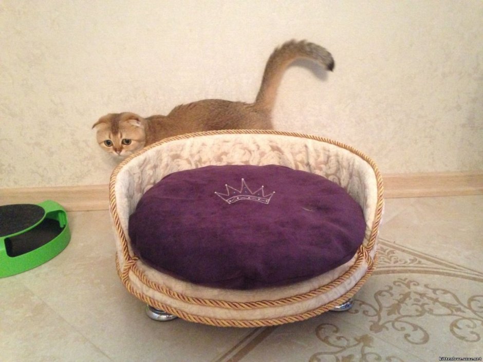 Пуфик лежанка для кошек