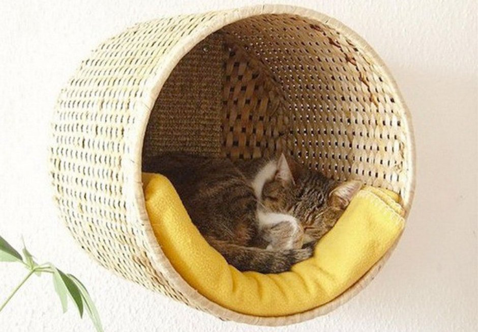 Домик для кота