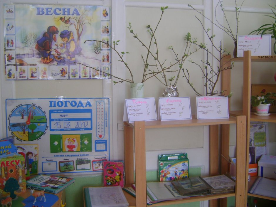 Уголок природы в детском саду