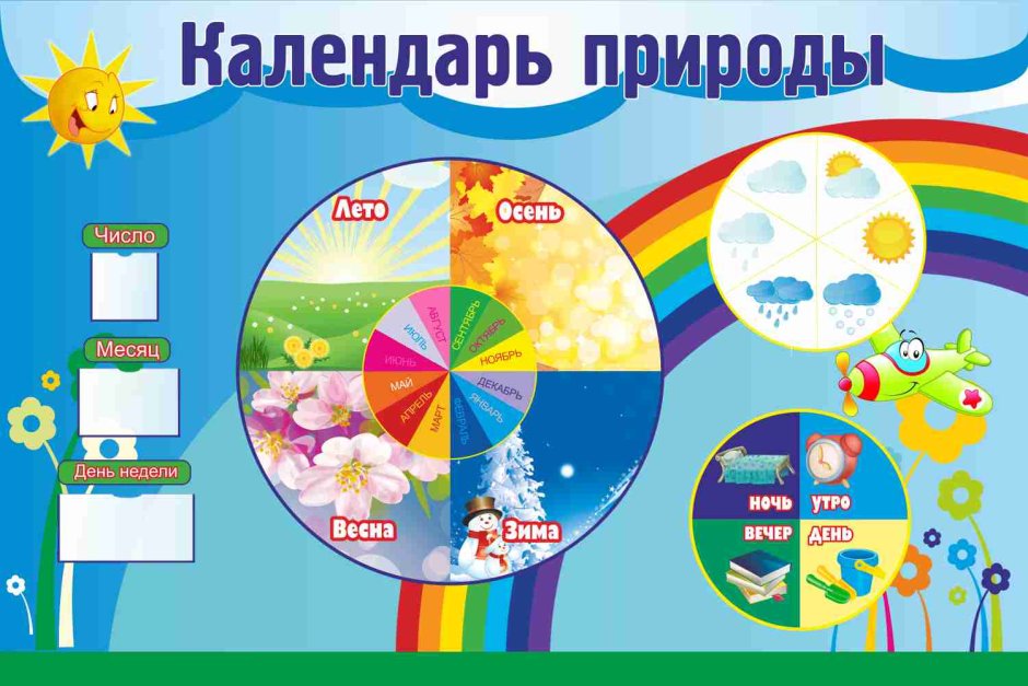 Экологический уголок