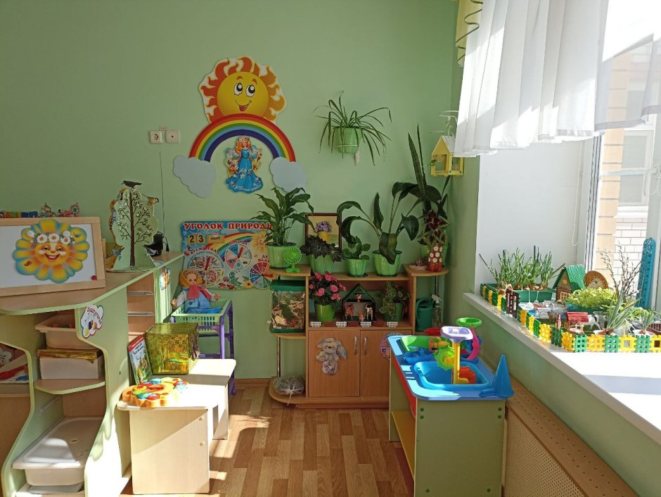 Уголок природы коллекции для детей