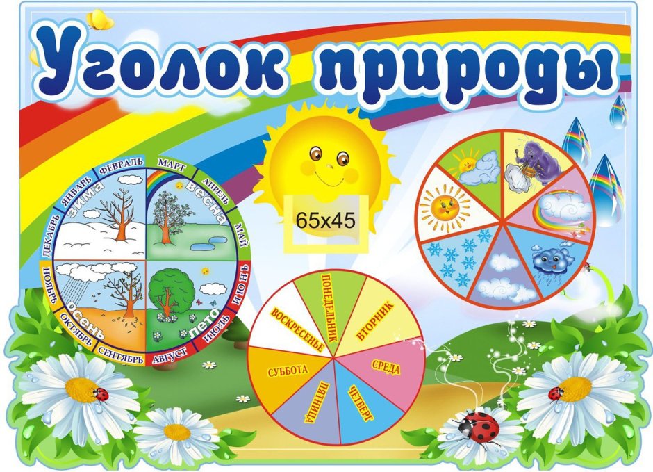 Экологический уголок