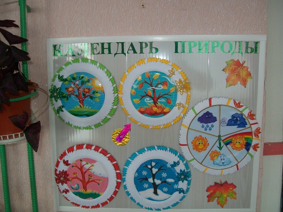 Зеленый уголок в детском саду