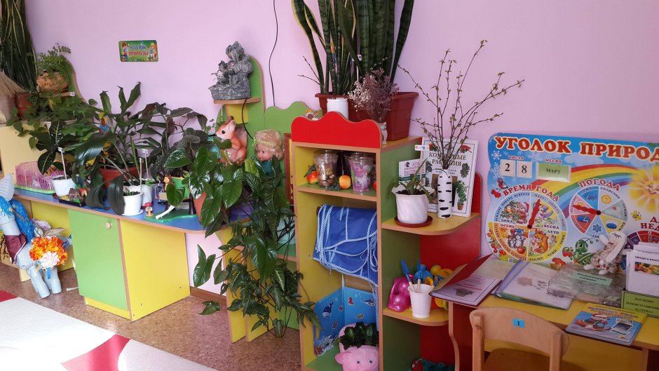 Уголок природы в детском саду