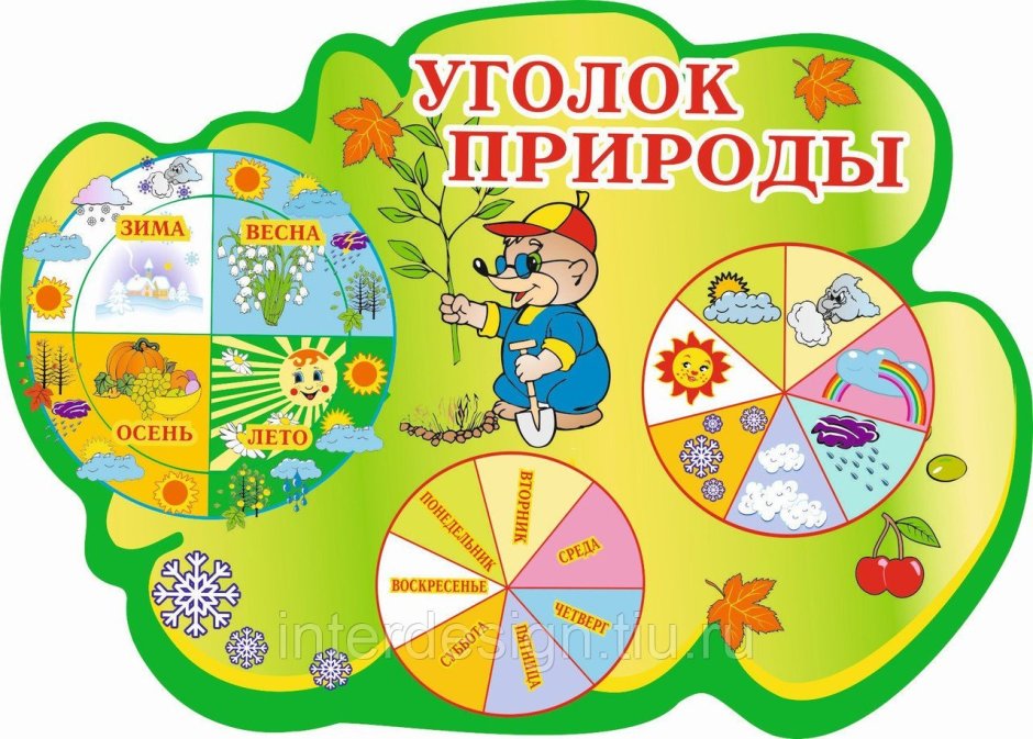 Огород на подоконникемв детском саду