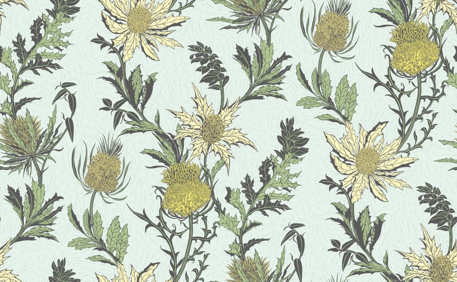 Cole and son Botanical Botanica