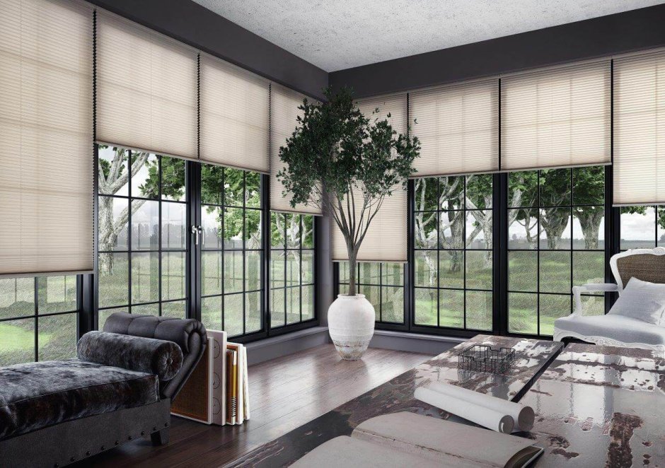 Plisse Blinds