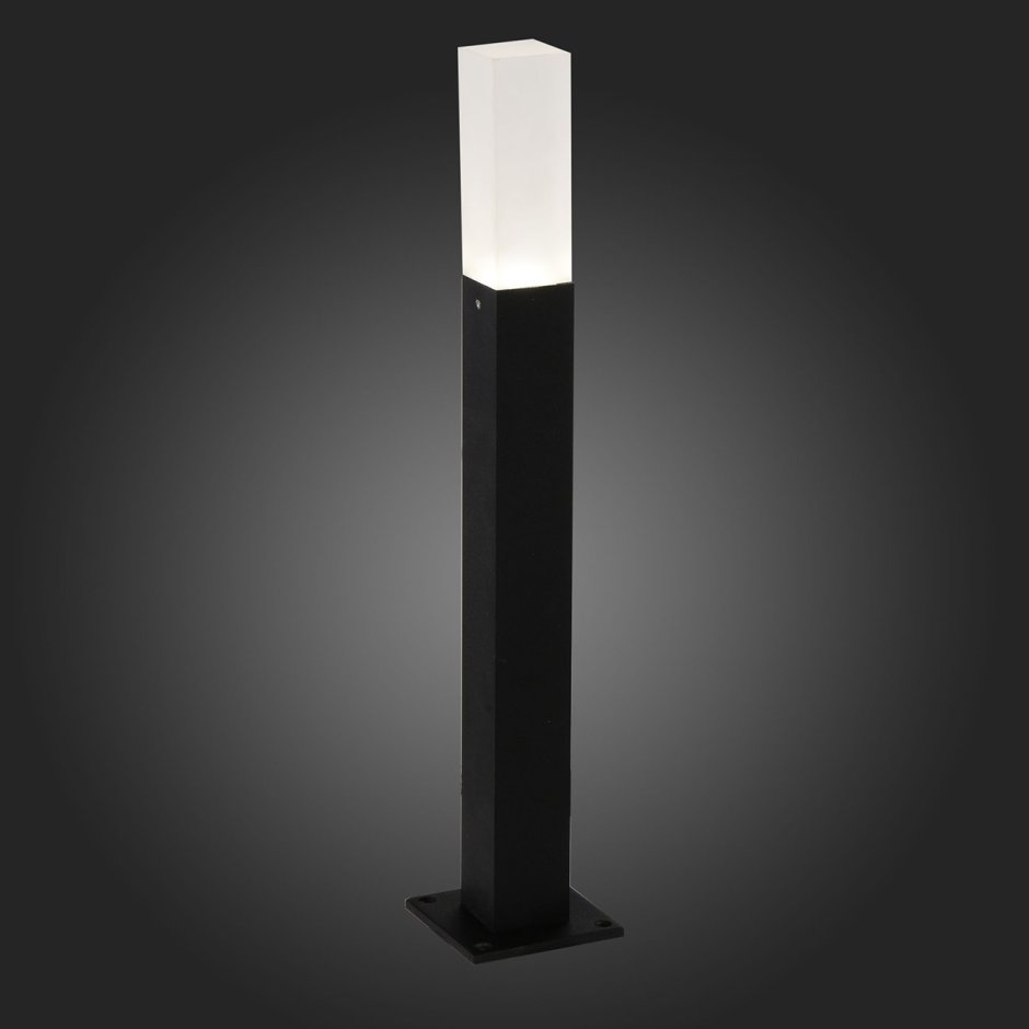 Уличный светодиодный светильник St Luce SL101.405.01