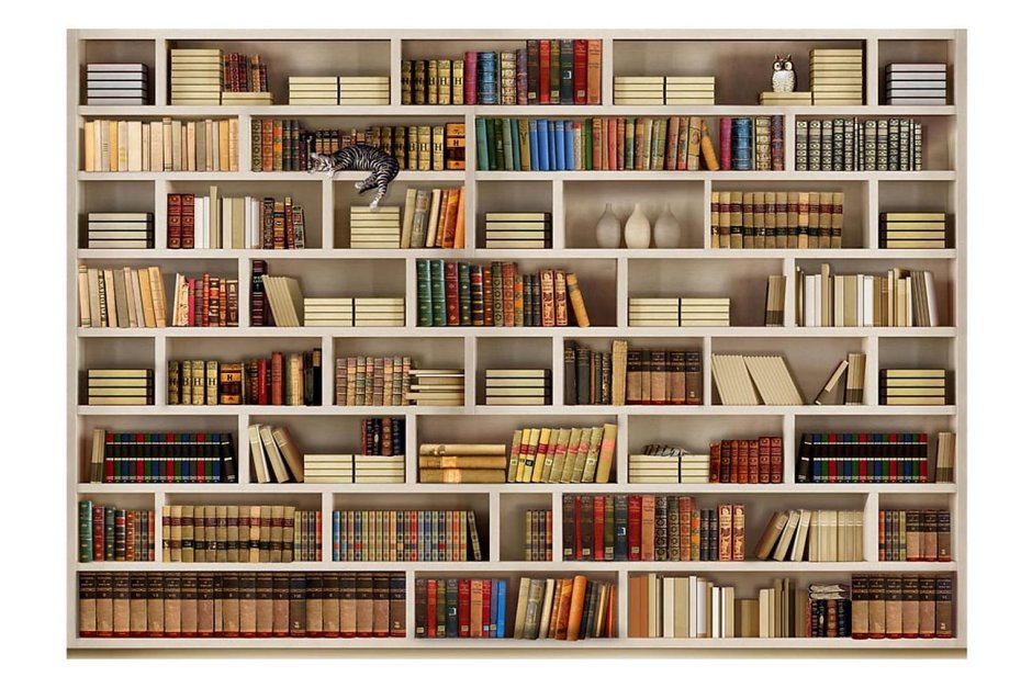 Книжные полки