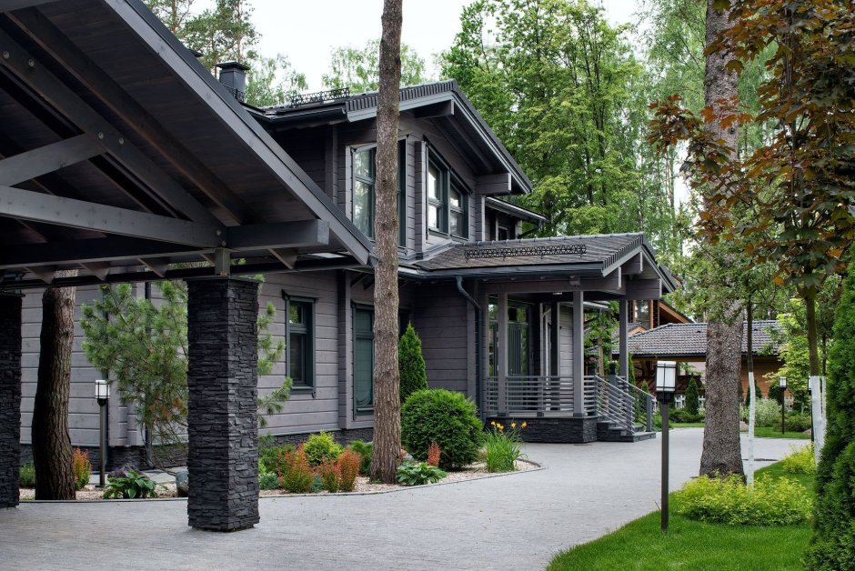 Honka Salmi
