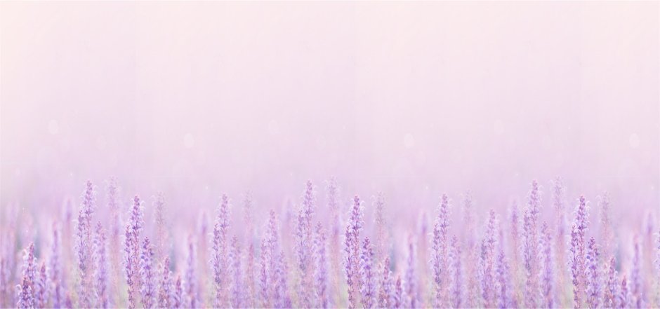 Фиолетовые обои