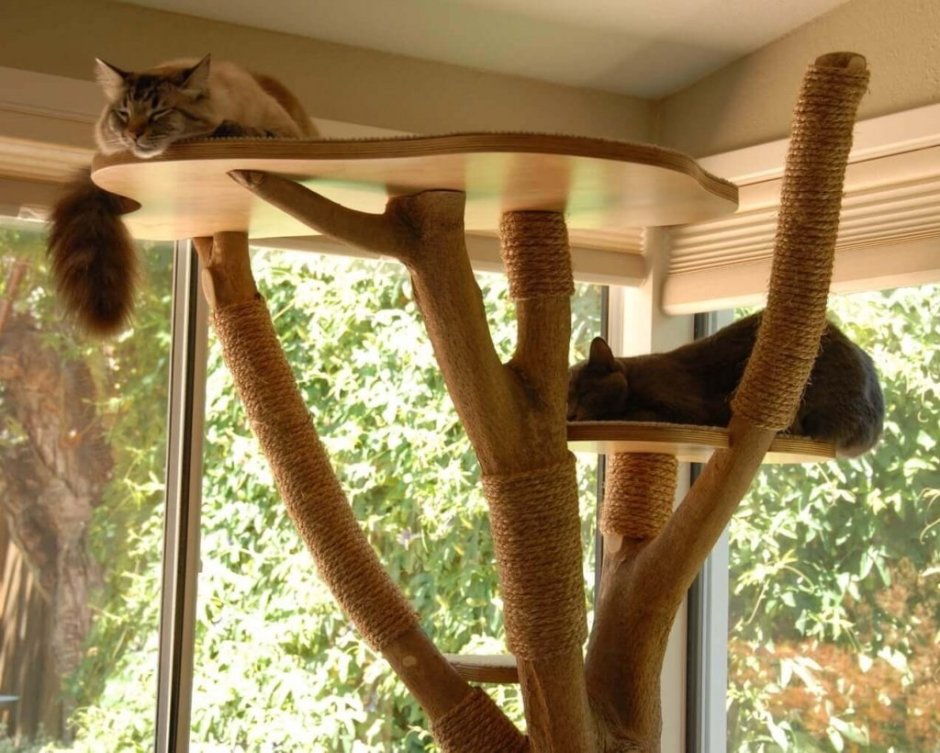 Кошачья лазалка дерево