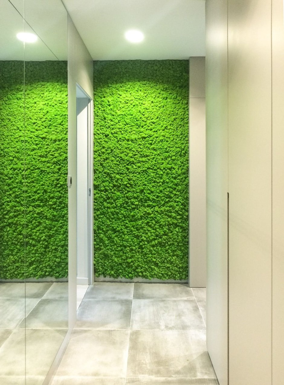 МАКССПЕЙС мох