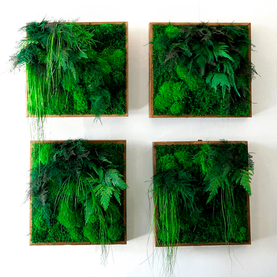 Мох в интерьере