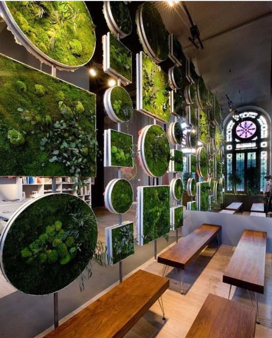 Мох ягель стабилизированный на стене