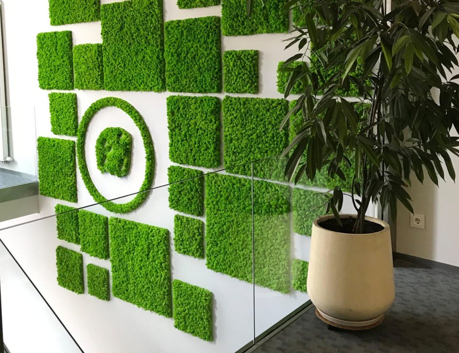 Озеленение интерьера мох стабилизированный