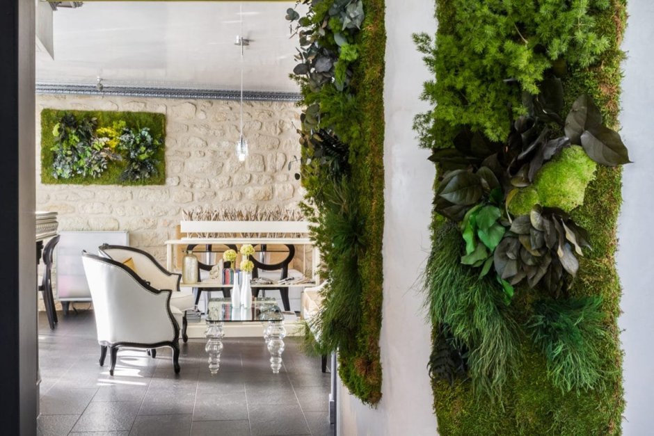 Стабилизированны1 стабилизированный мох