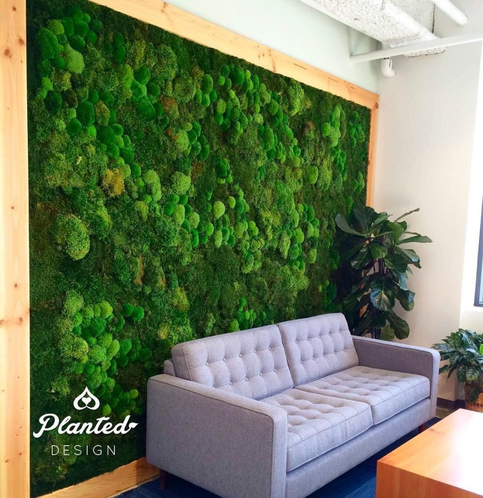 Экостиль в гостиной с фитостеной