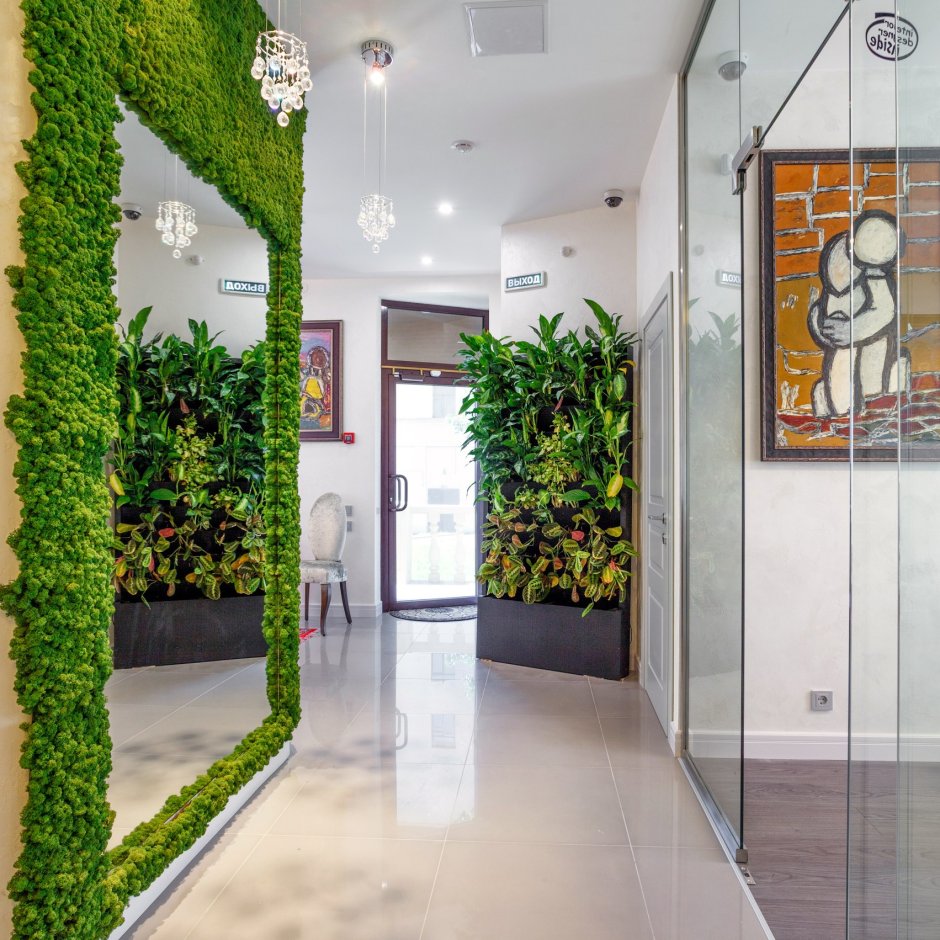 Карта мира из мха на стене