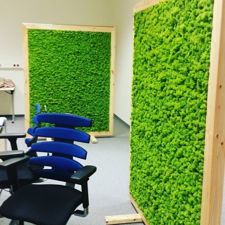 Фитостена джунгли