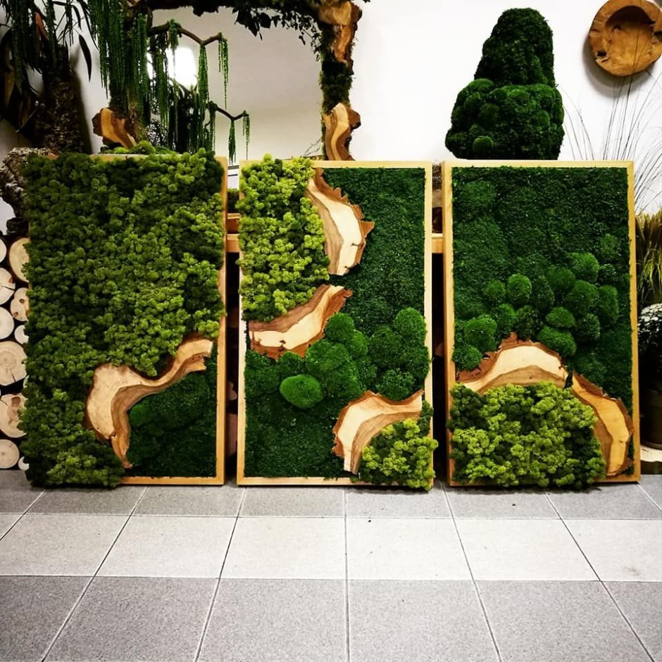 Стабилизированный мох в интерьере