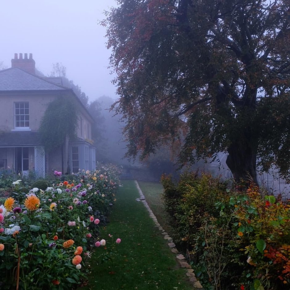 Деревня Эстетика тумблер
