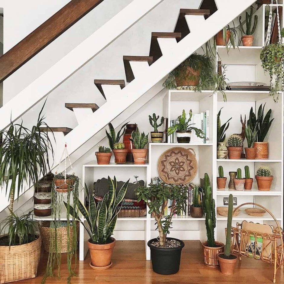Phytodesign зимний сад