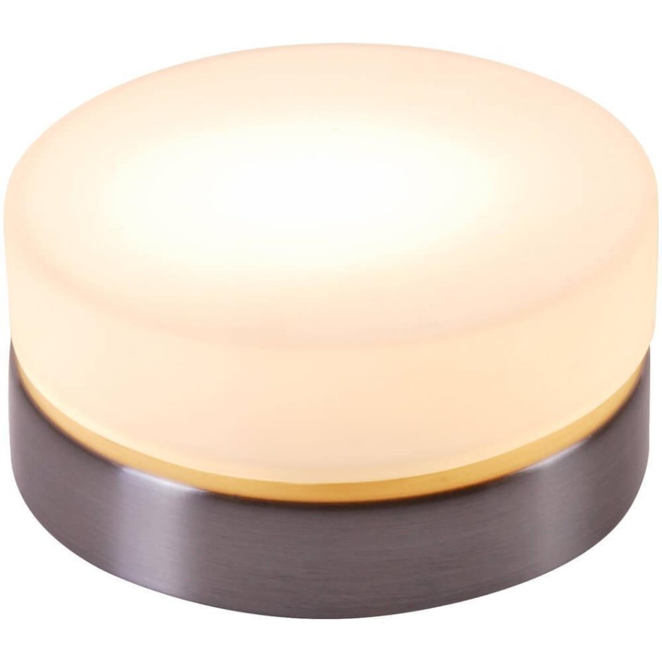 Настенно потолочный светильник Globo Opal 48401
