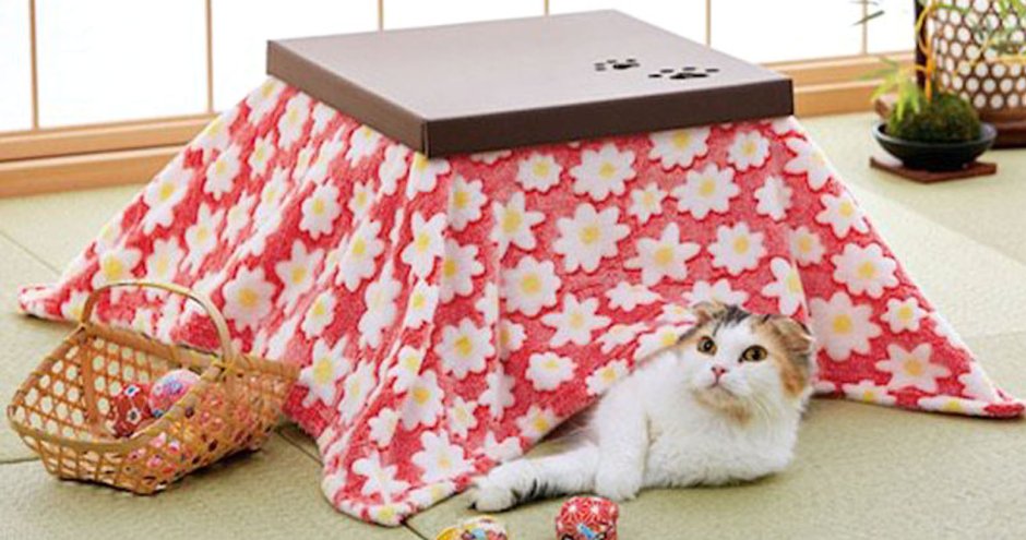 Японский стол с одеялом