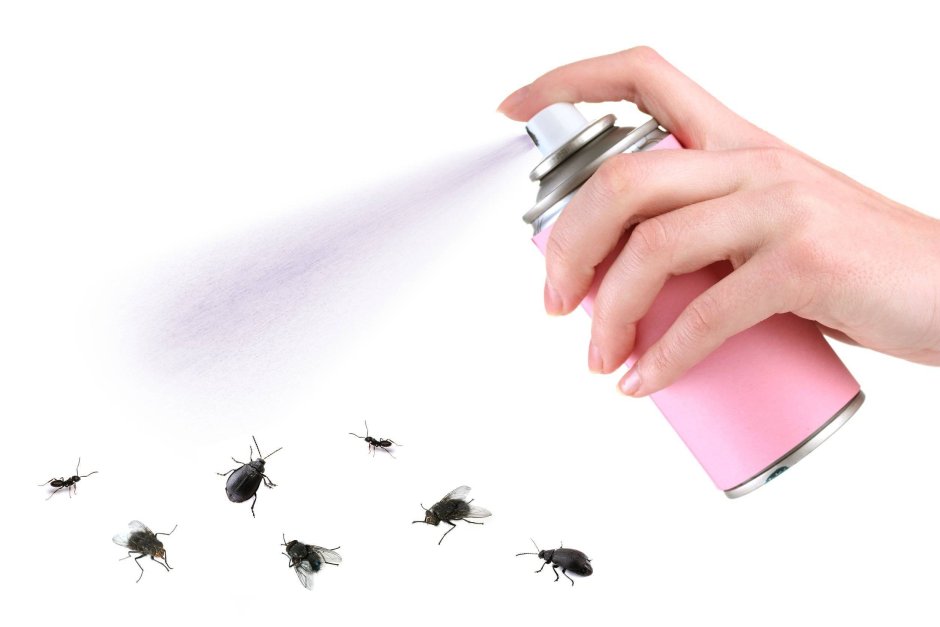 Много комаров для детей
