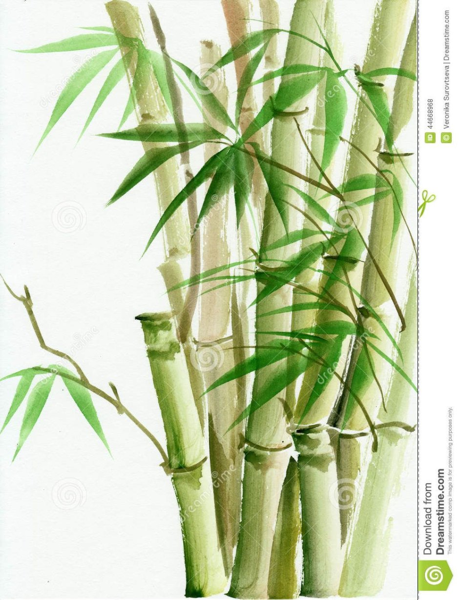 Bamboo shoot 540гр