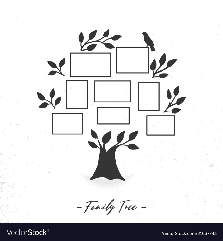Дерево семьи рисунок