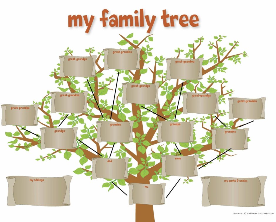 Дерево родословной Family Tree