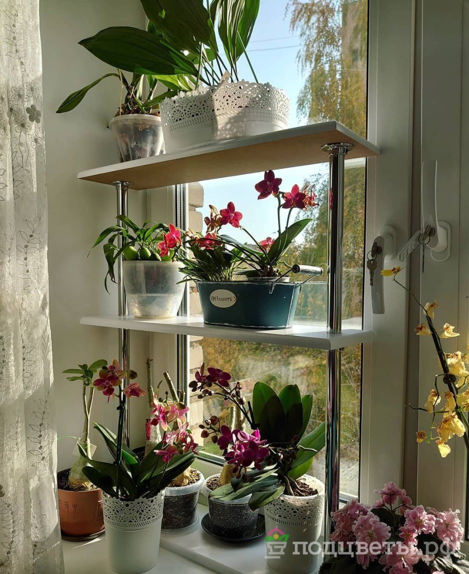 Горшки для цветов на подоконник