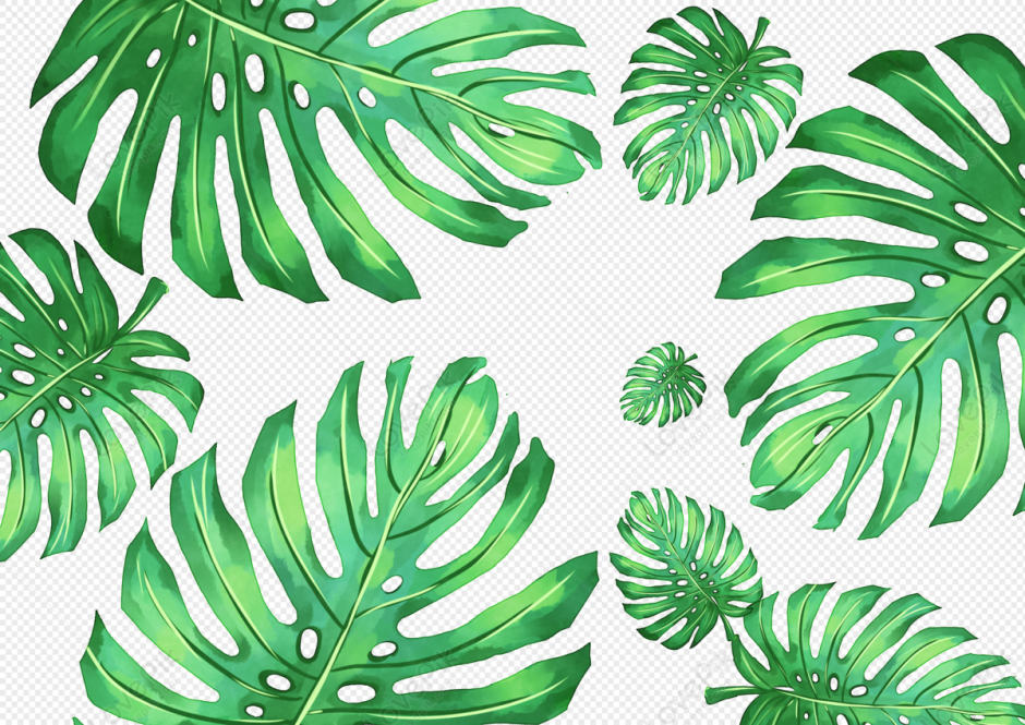 Обои на ноутбук растения