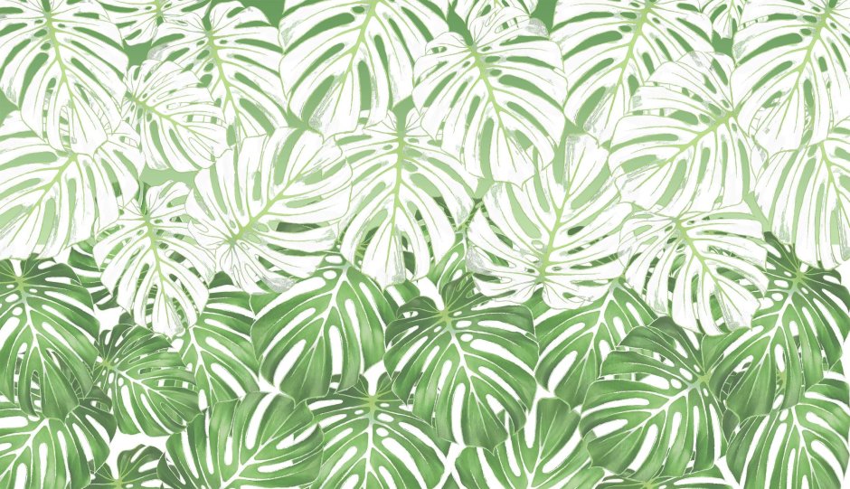 Монстера листья Стикеры