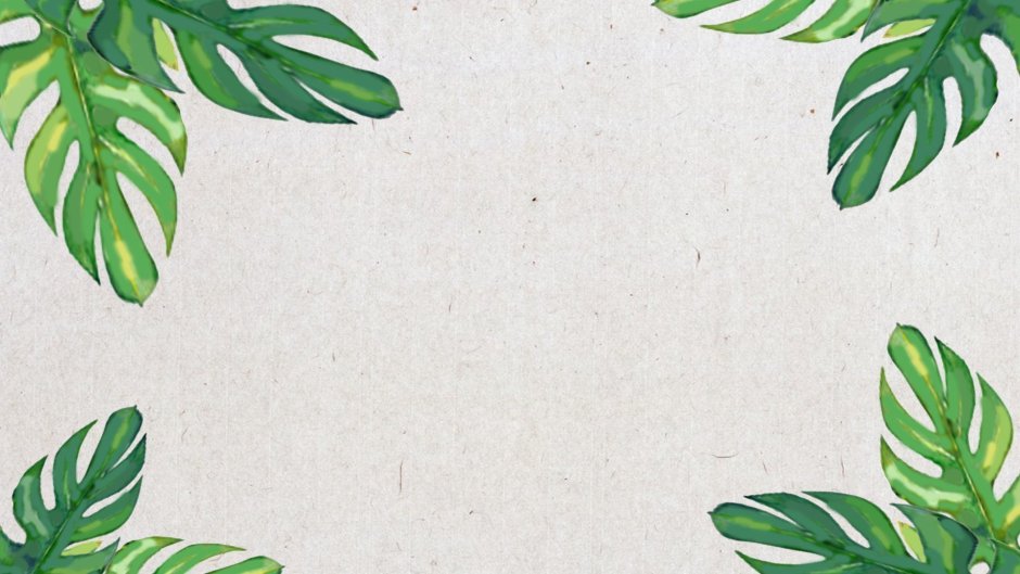 Тропический узор монстера Лиана