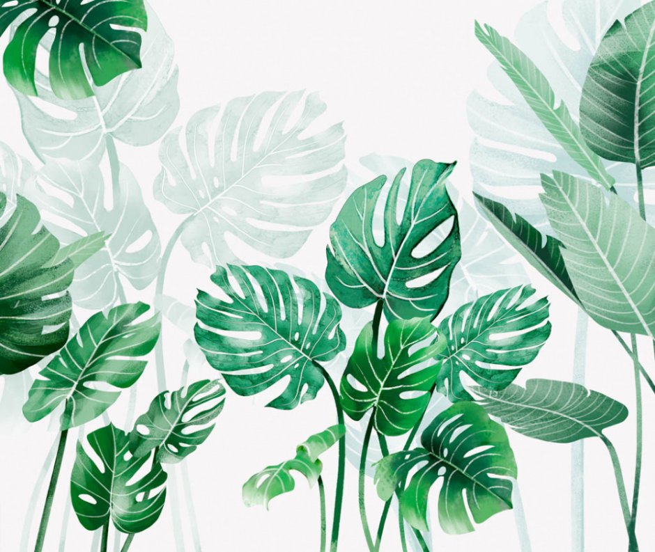 Монстера узор