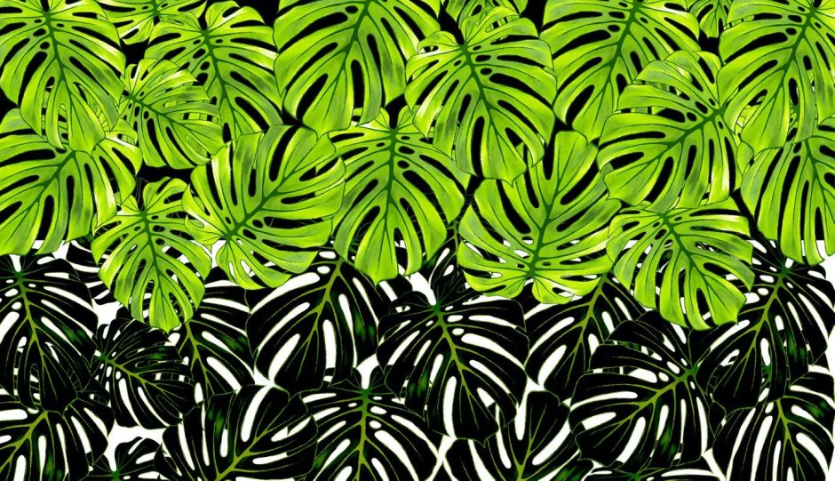 Хайлайтс тропические листья
