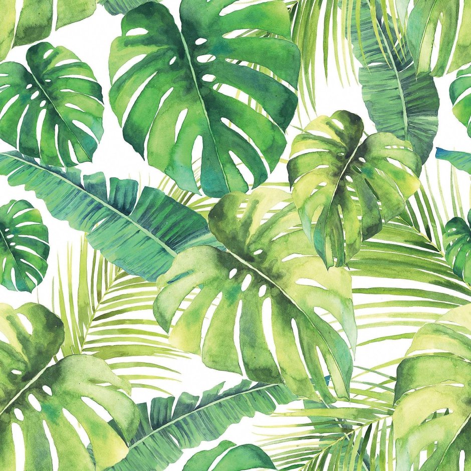 Листья пальмы Аффреско