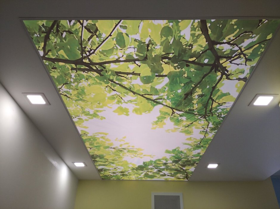 Натяжной потолок с листвой