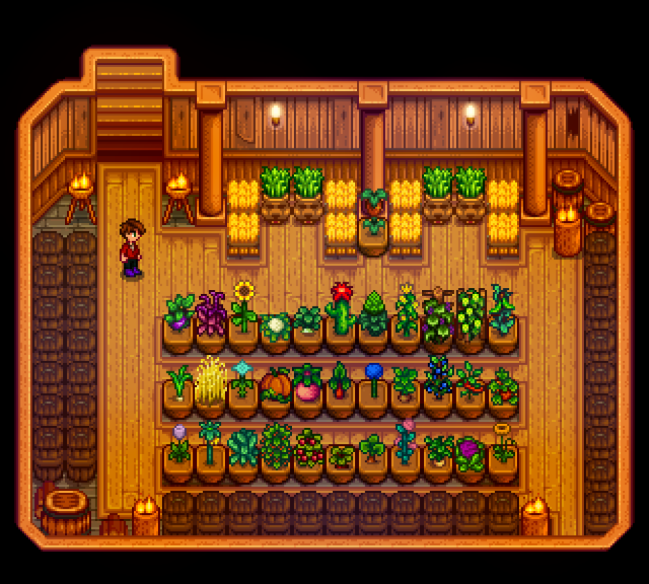 Stardew Valley улей расположение