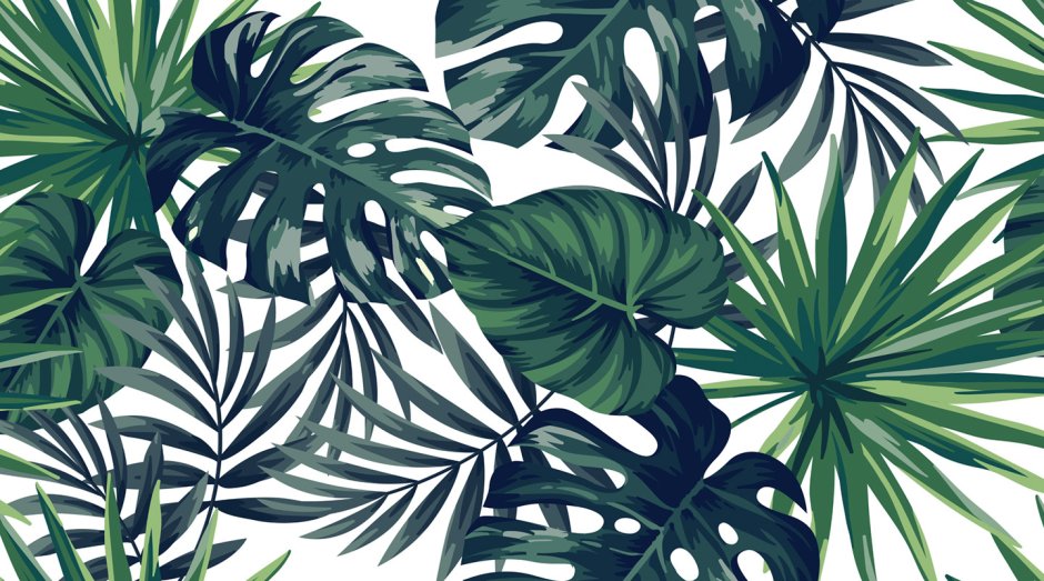 Листья пальмы на голубом фоне