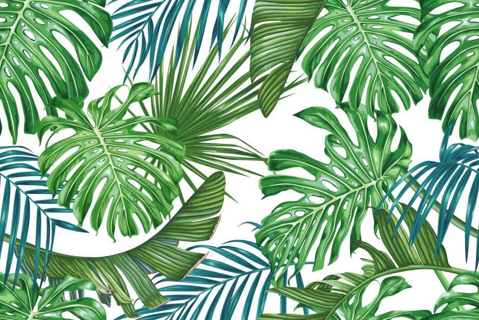 Тропические листья на темном фоне