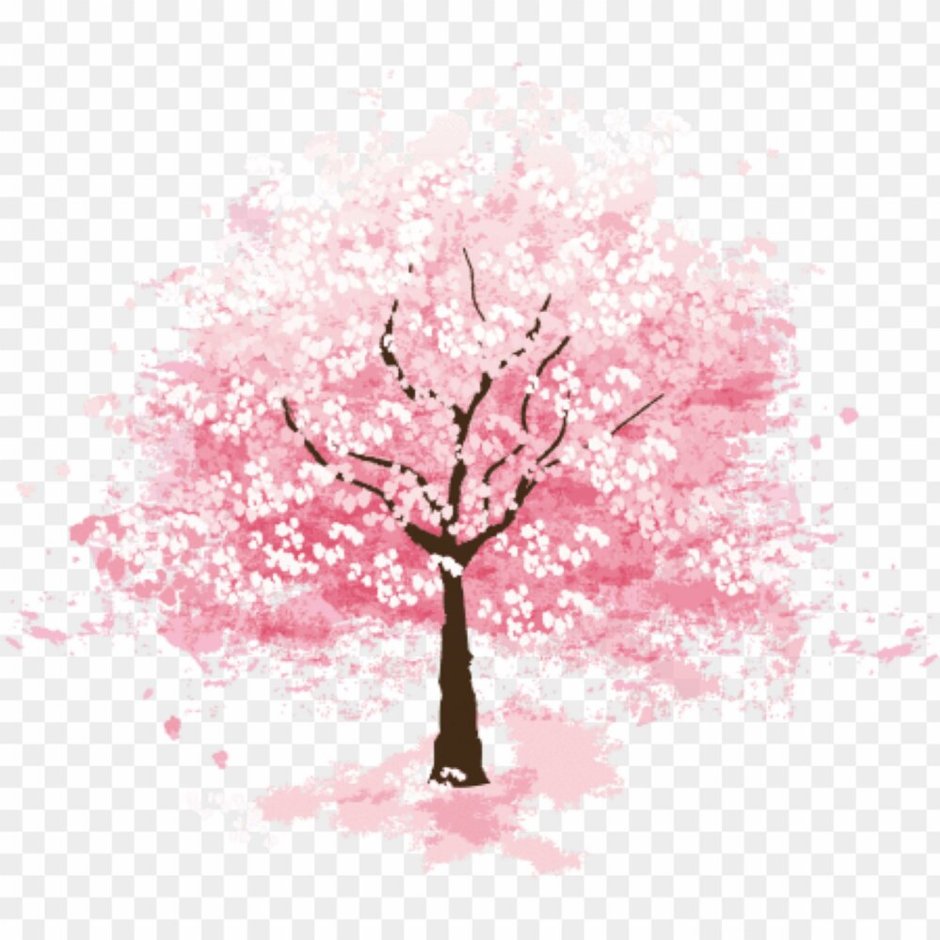 Розовое дерево на белом фоне