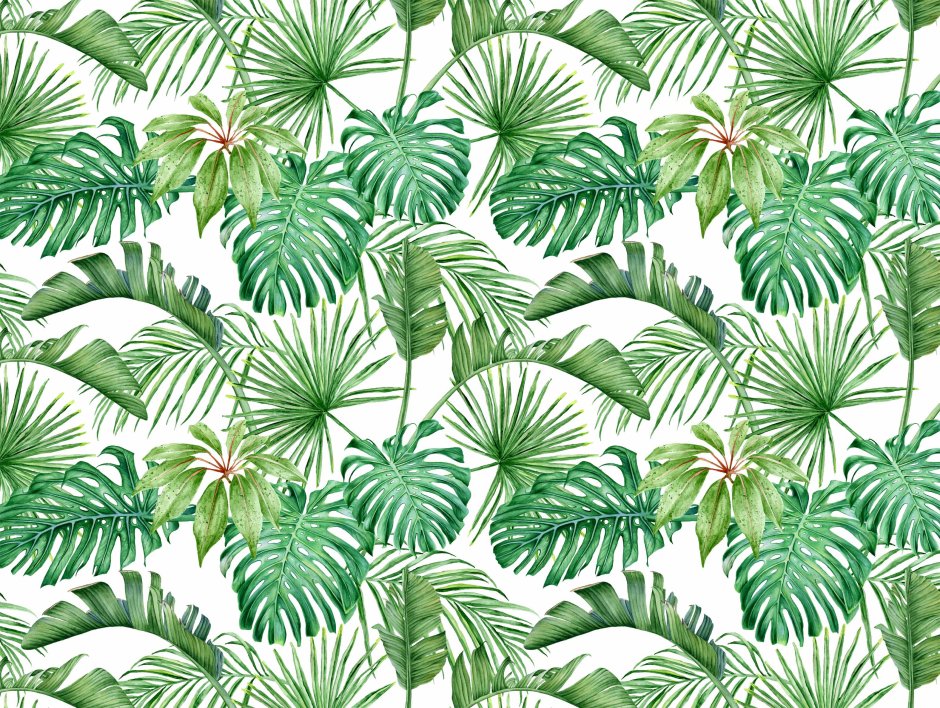 Обои с монстерой в интерьере