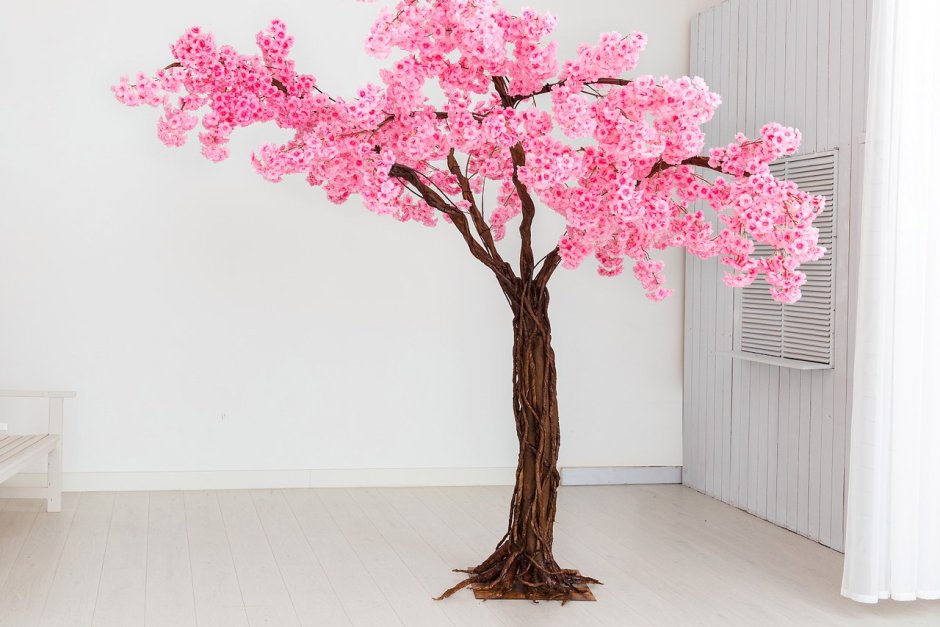 Гинкго дерево Сакура