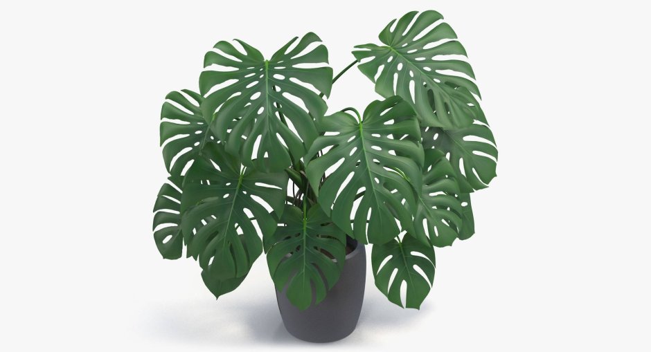 Монстер синий