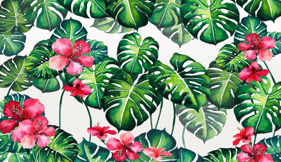 Ветка пальмы на розовом фоне