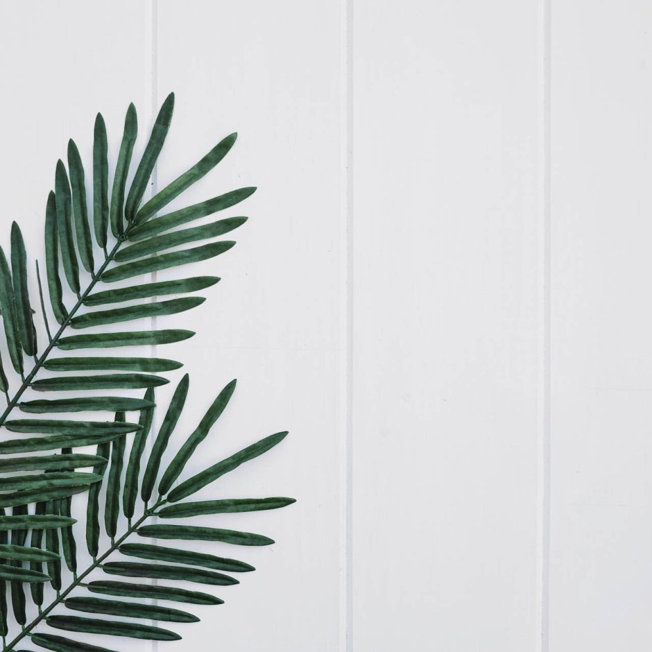 Банановые листья